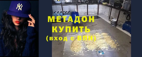 трава Ельня