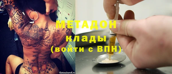 трава Ельня