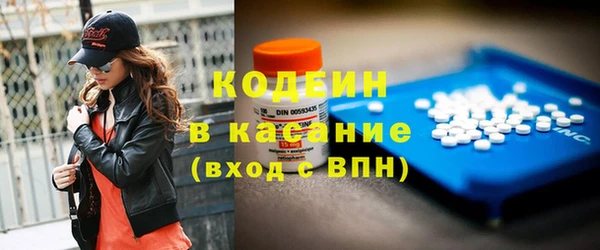 трава Ельня