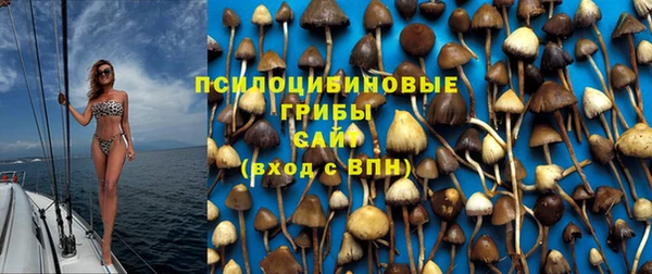 трава Ельня