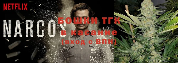 трава Елабуга