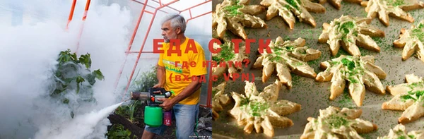 трава Ельня