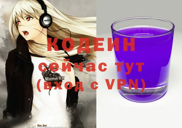 трава Ельня