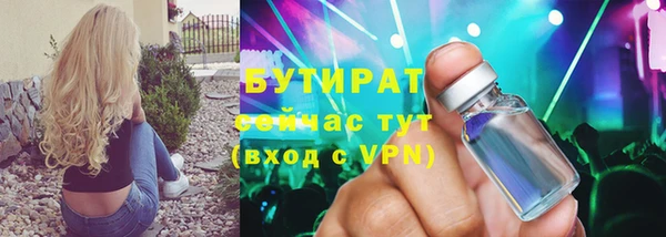 трава Ельня