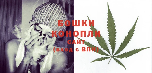 трава Ельня