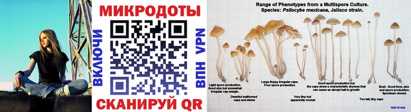 Галлюциногенные грибы мухоморы  Кадников 